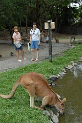 0787 Wildlife Habitat Port Douglas